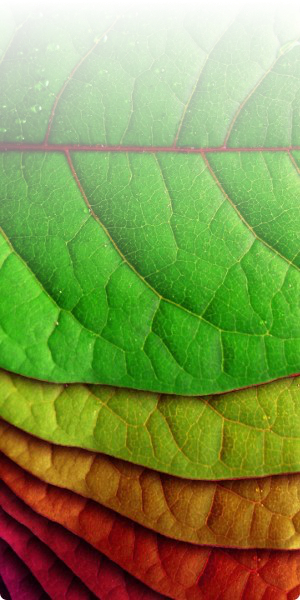 Element_Farben_2.jpg