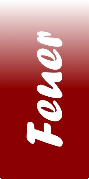 Element_Feuer.jpg
